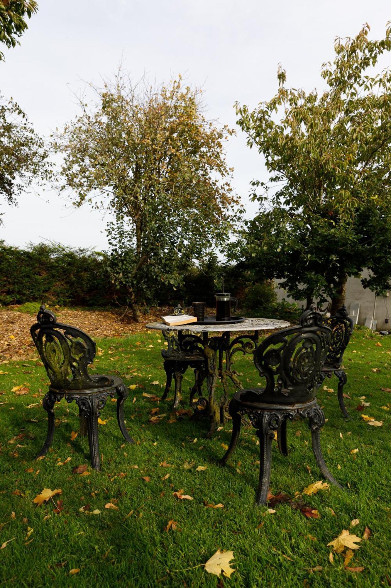 Oak House Laois B&B Портарлингтън Екстериор снимка